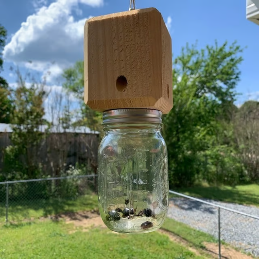 ✨Hot Sale 50% OFF--🔥Handmade Carpenter Bee Trap
