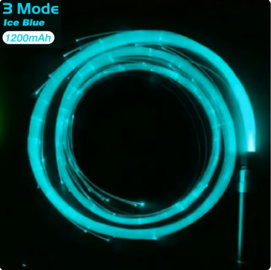 LED rechargeable light whip