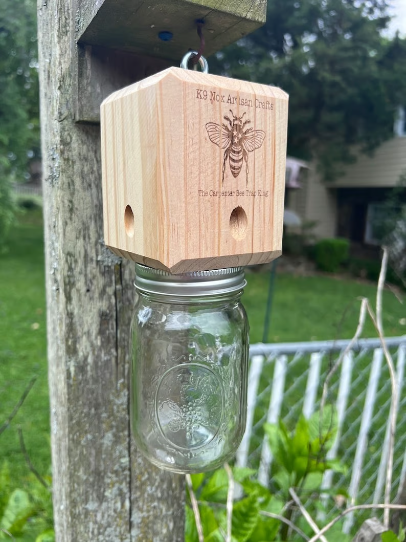 ✨Hot Sale 50% OFF--🔥Handmade Carpenter Bee Trap